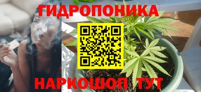 крисы Бузулук