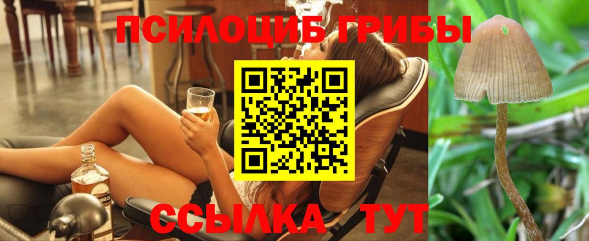 Пугачёв  Псилоцибиновые грибы Psilocybine cubensis  купить наркоту  Вход с VPN 